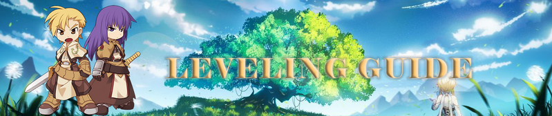 File:BANNER LEVELING GUIDE.png